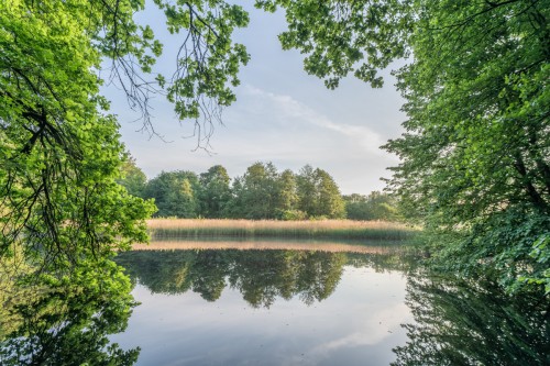 Meissendorfer Teiche