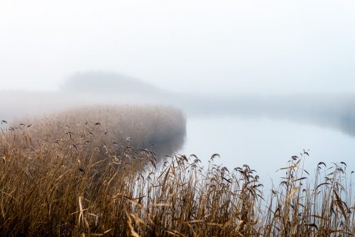 Westerhever - Eiderstedt