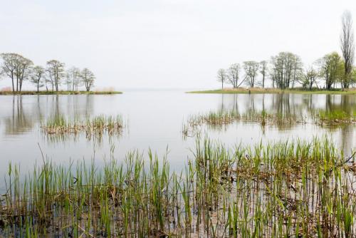 Juodkrante - Kurische Nehrung - Litauen
