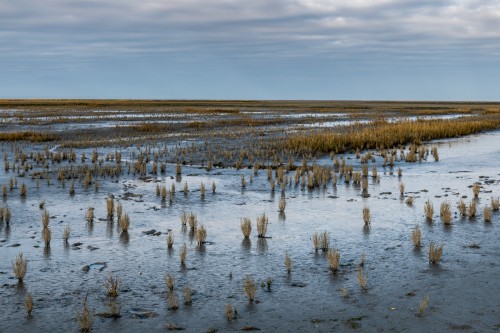 Qeller bei Everschopsiel