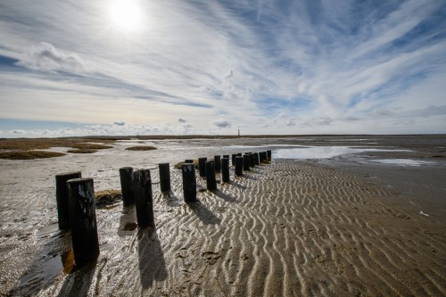 Westerhever