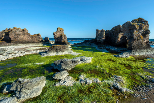 Rauken an Gotlands Kueste