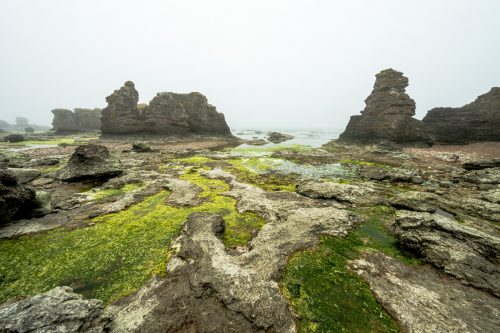 Hammashagehaeller Raukomrade