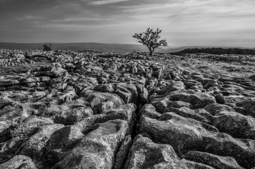 Soapsteinfeld im Yorkshire Dales Nationalpark