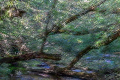 NSG Heuckenlock - Hamburg