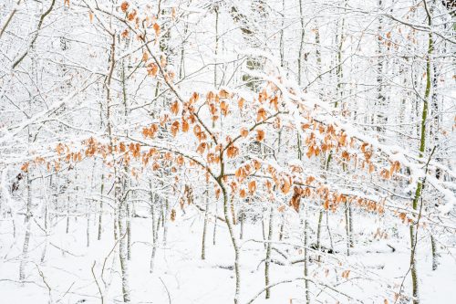 An der Oberalster - Hamburg