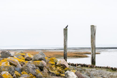 Everschopsiel (Eiderstedt)