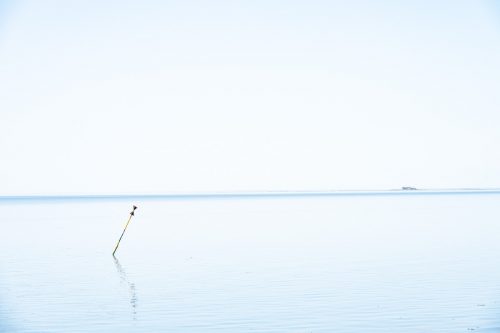 Blick von Nordstrand auf Nordstrandischmoor