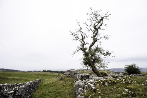 Yorkshire Dales Nationalpark